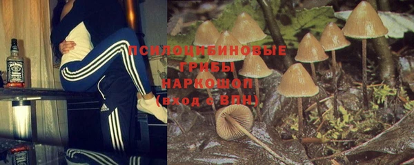 гидропоника Арсеньев