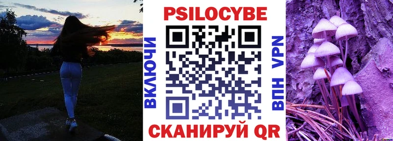 Галлюциногенные грибы Psilocybine cubensis  Суджа 
